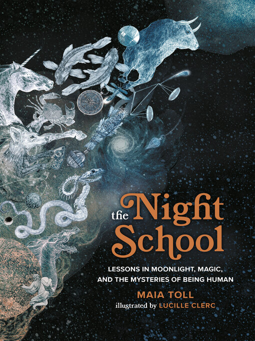 Title details for The Night School by Maia Toll - Available